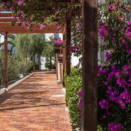 The Colors House, 646 - Private Costa Teguise